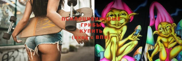 круглые Алзамай