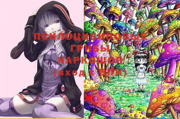 круглые Алзамай